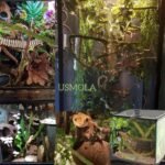 Moss Vine for Reptiles, Bendable Climbing Vines Reptile Tank Accessories, Natural Moss Rope for Leopard Gecko, Lizard, Snake, Chameleon, Frog Terrarium Decor (Jungle Green, 9.8 FT) - Image 4