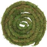 Moss Vine for Reptiles, Bendable Climbing Vines Reptile Tank Accessories, Natural Moss Rope for Leopard Gecko, Lizard, Snake, Chameleon, Frog Terrarium Decor (Jungle Green, 9.8 FT) - Image 7