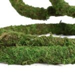 Moss Vine for Reptiles, Bendable Climbing Vines Reptile Tank Accessories, Natural Moss Rope for Leopard Gecko, Lizard, Snake, Chameleon, Frog Terrarium Decor (Jungle Green, 9.8 FT) - Image 8