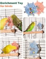 2 Pcs Bird Toys for Parakeets, Budgie Toys, Spinning Wheel Parrot Toys, Chewing Exercisers, Interactive Bird Cage Toys for Budgies, Cockatiels, Lovebirds, Parakeets, Conures and Small to Medium Birds - Image 5