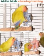 2 Pcs Bird Toys for Parakeets, Budgie Toys, Spinning Wheel Parrot Toys, Chewing Exercisers, Interactive Bird Cage Toys for Budgies, Cockatiels, Lovebirds, Parakeets, Conures and Small to Medium Birds - Image 6