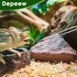 Reptile Feeding Tongs Long Tweezers, 4 Pack Stainless Steel Reptile Tweezers Set, 10.6" Straight & Curved Tweezers with Soft Rubber Tip, for Aquarium Terrarium, Crafts, Reptile Tank Accessories - Image 3