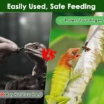 Reptile Feeding Tongs Long Tweezers, 4 Pack Stainless Steel Reptile Tweezers Set, 10.6" Straight & Curved Tweezers with Soft Rubber Tip, for Aquarium Terrarium, Crafts, Reptile Tank Accessories - Image 7