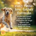 Burt's Bees for Pets Coconut Vanilla Shampoo & Conditioner - 2-in-1 Dog Shampoo and Conditioner with 98.2% Naturally Derived Ingredients - Coconut Vanilla Dog Shampoo & Conditioner - Image 4