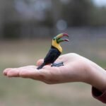 Safari Ltd. Toucan Figurine - Lifelike 2.75" Bird Figure - Educational Toy for Boys, Girls, and Kids Ages 3+ - Image 3