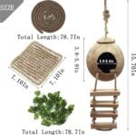 Lizard Coco Den with Ladder,Leopard Gecko Coconut Husk Hut Hideout Home Reptile Hammock Climbing Hanging Plants Decor Habitat Tank Accessories for Bearded Dragon Snake Chameleon - Image 4