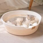 CHEERHOME PETS Cat Bed Basket with Cushion, Cute Pet Bed for Indoor Cats Couch, Kitten Bed for Medium and Large Cat, All Season Universal (White) - Image 2