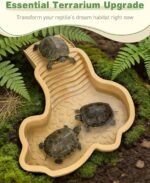 Pawfly Reptile Bathing Pool with Removable Ramp, Reptile Food Dish Feeding Dish, Tortoise Water Dish Water Bowl with Steps, Turtle Bathing Pool Bath Tub Soaking Dish for Gecko Snake Lizard Frog - Image 6