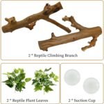 kathson 2PCS Snake Climbing Branch,Reptile Wood Branches Decor, Lizard Natural Polished Wood Climb Accessories,Reptiles Habitat Tank Tree Trunk Decorations for Bearded Dragon Geckos Chameleons Frog - Image 5