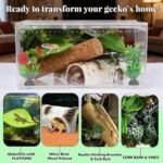 Crested Gecko Tank Accessories, Reptile Decor,Reptile Hanging Plants Vines with Coconut Shell Ladder Hideout Hermit Crab Decor for Lizard, Chameleon Cage, Snakes, Hermit Crab, Leopard Gecko (Decor-1) - Image 3