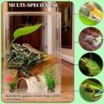 Crested Gecko Tank Accessories, Reptile Decor,Reptile Hanging Plants Vines with Coconut Shell Ladder Hideout Hermit Crab Decor for Lizard, Chameleon Cage, Snakes, Hermit Crab, Leopard Gecko (Decor-1) - Image 4