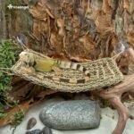 Niteangel Bearded Dragon Hammock Reptile Lounger for Chameleon, Lizards, Gecko, Snakes, Lguana Reptiles, Tortoises (Rectangle 16'' x 8'') - Image 6