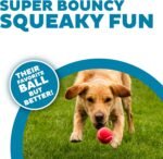 Outward Hound Squeaker Ballz – Squeaky Tennis Balls for Dogs Under 50 lbs, Interactive Dog Toy for Fetch & Training, Medium (2.5"), 4‑Pack - Image 3