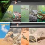 Lustaled 22inch 24W T5 UVB Reptile Light Combo Kit for Tropical & Desert Reptiles, Switchable UVB 5.0, UVB 10.0, Reptile Lamp Terrarium Hood UVB Light for Bearded Dragon, Lizards, Chameleon, Turtle - Image 3