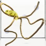 SunGrow 6 ft Reptile Vine for Terrarium, Flexible Climber Lizard Tank Decor, Ball Python Snake Climbing Accessories, Twistable and Bendable Habitat Decor Terrarium Vines for Chameleon, Bearded Dragon - Image 4