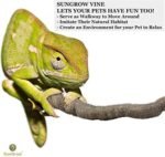 SunGrow 6 ft Reptile Vine for Terrarium, Flexible Climber Lizard Tank Decor, Ball Python Snake Climbing Accessories, Twistable and Bendable Habitat Decor Terrarium Vines for Chameleon, Bearded Dragon - Image 7