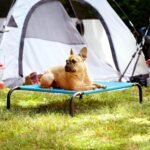 FurHaven Elevated Pet Cots - Cooling & Breathable Nylon Mesh Hammock for Small Dogs & Cats/Easy-to-Assemble / / Durable and Reinforced/Perfect for Rest & Relaxation Outdoors - Capri Blue, Small - Image 3