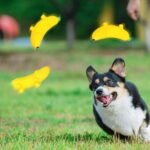 5.3'' Squeak Latex Dog Toys Banana 3 Pcs, Funny Fruit Sets Pet Toys Puppy Small Medium Dog Squeaky Chew Toys - Image 7