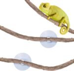 SunGrow 6 ft Reptile Vine for Terrarium, Flexible Climber Lizard Tank Decor, Ball Python Snake Climbing Accessories, Twistable and Bendable Habitat Decor Terrarium Vines for Chameleon, Bearded Dragon - Image 2