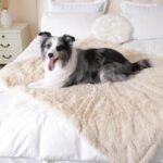 gogobunny Waterproof Dog Blanket for Couch & Furniture Protection - Super Soft Reversible Throw for Large Dogs & Cats, Calming Washable Fur & Sherpa Pet Blanket (60x80 Inch, Beige) - Image 5