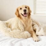 gogobunny Waterproof Dog Blanket for Couch & Furniture Protection - Super Soft Reversible Throw for Large Dogs & Cats, Calming Washable Fur & Sherpa Pet Blanket (60x80 Inch, Beige) - Image 2