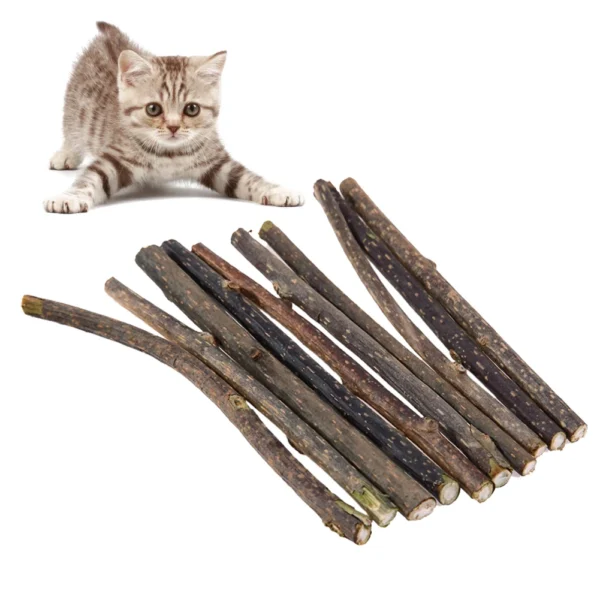 10pcs Pure Natural Catnip Pet Cat Molar Toothpaste Stick Cat Cleaning Teeth Feather Stick Toy Pet Supplies Cat Accessory