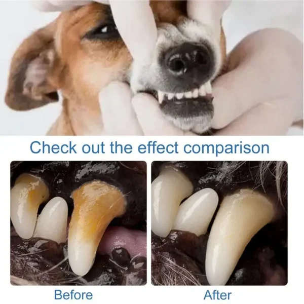 Pet Tartar Remover Natural Plaques Remover For Dogs Cats Freshen Breath Foam For Dogs Cats Support Healthy Gums Pet Care Product - Image 5